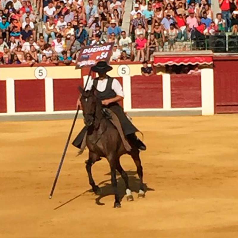 Plaza de toros de Valladolid