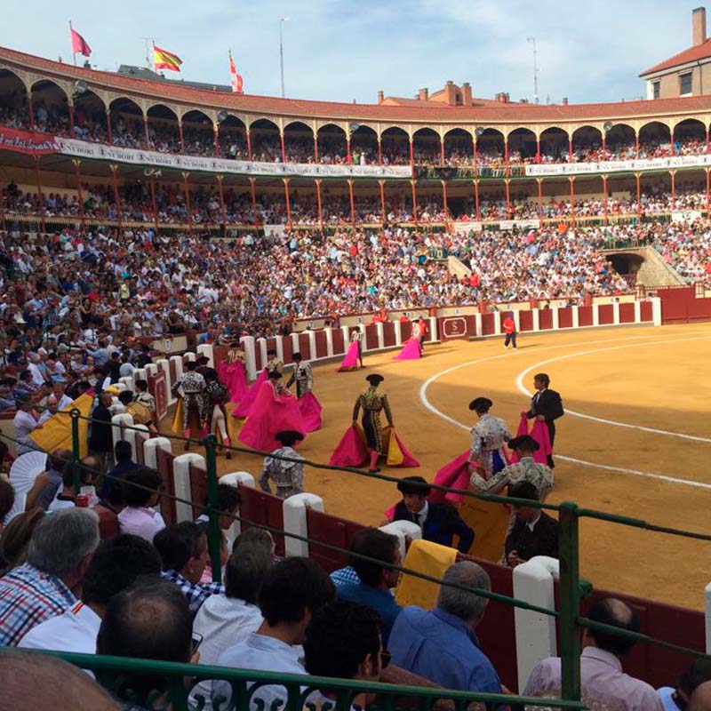 Feria taurina de San Pedro Regalado, Valladolid