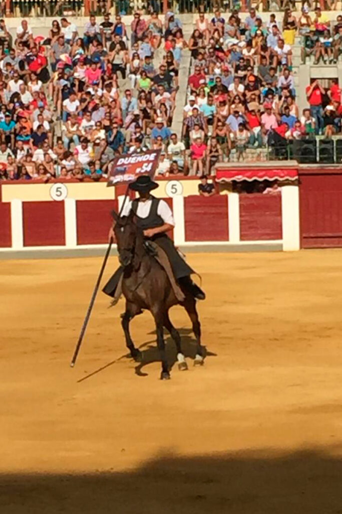 Feria de San Pedro Regalado